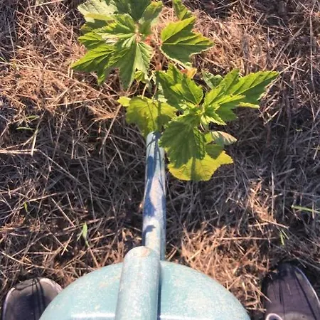 住宿加早餐酒店 Bio Fattoria Ca D'pignat