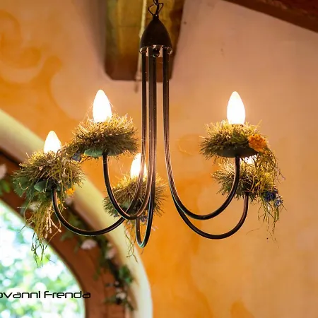 住宿加早餐酒店 Bio Fattoria Ca D'pignat Lama Mocogno