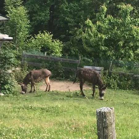 Bio Fattoria Cà D'pignat *