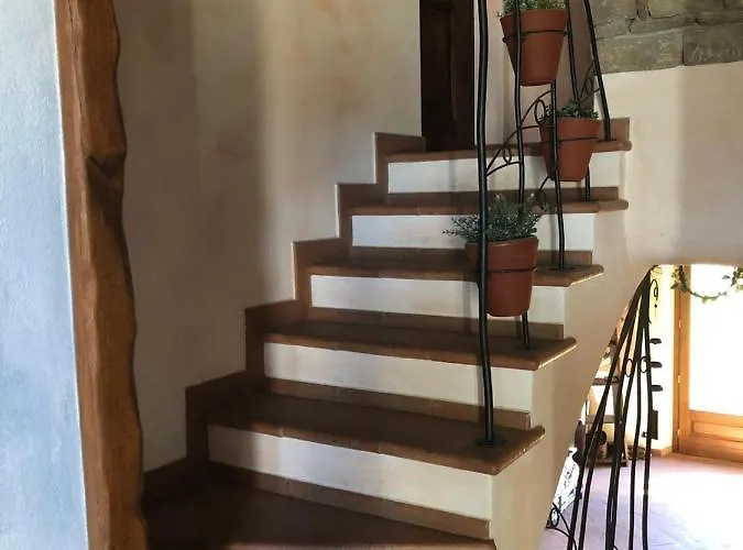 Bed & Breakfast Bio Fattoria Ca D'pignat Lama Mocogno