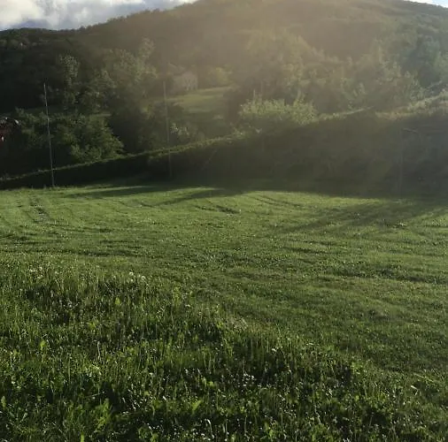 Bed & Breakfast Bio Fattoria Ca D'pignat Lama Mocogno