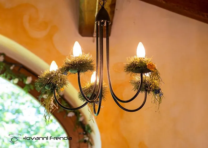 Bed & Breakfast Bio Fattoria Ca D'pignat Lama Mocogno